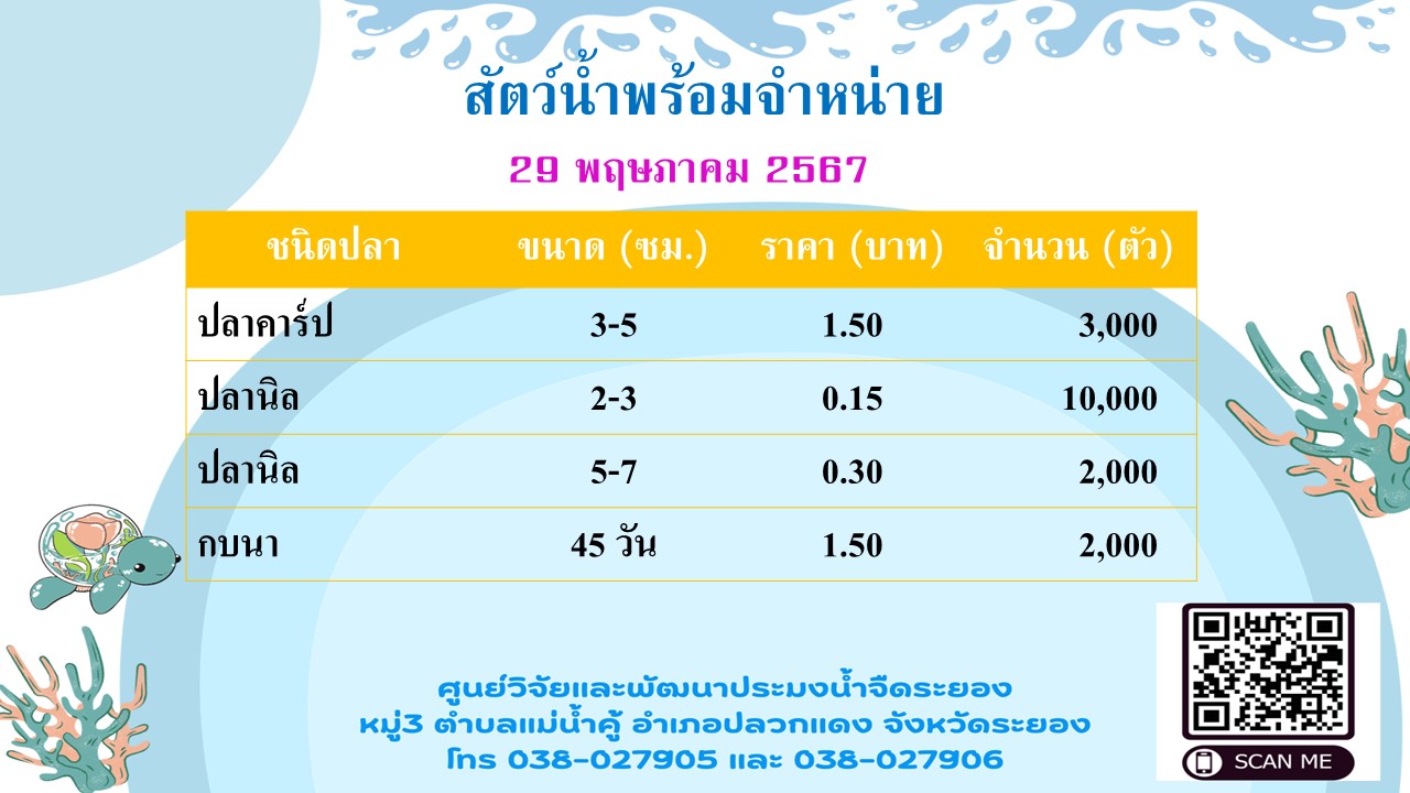 สัตว์น้ำพร้อมจำหน่าย วันที่ 29 พฤษภาคม 2567..คลิก