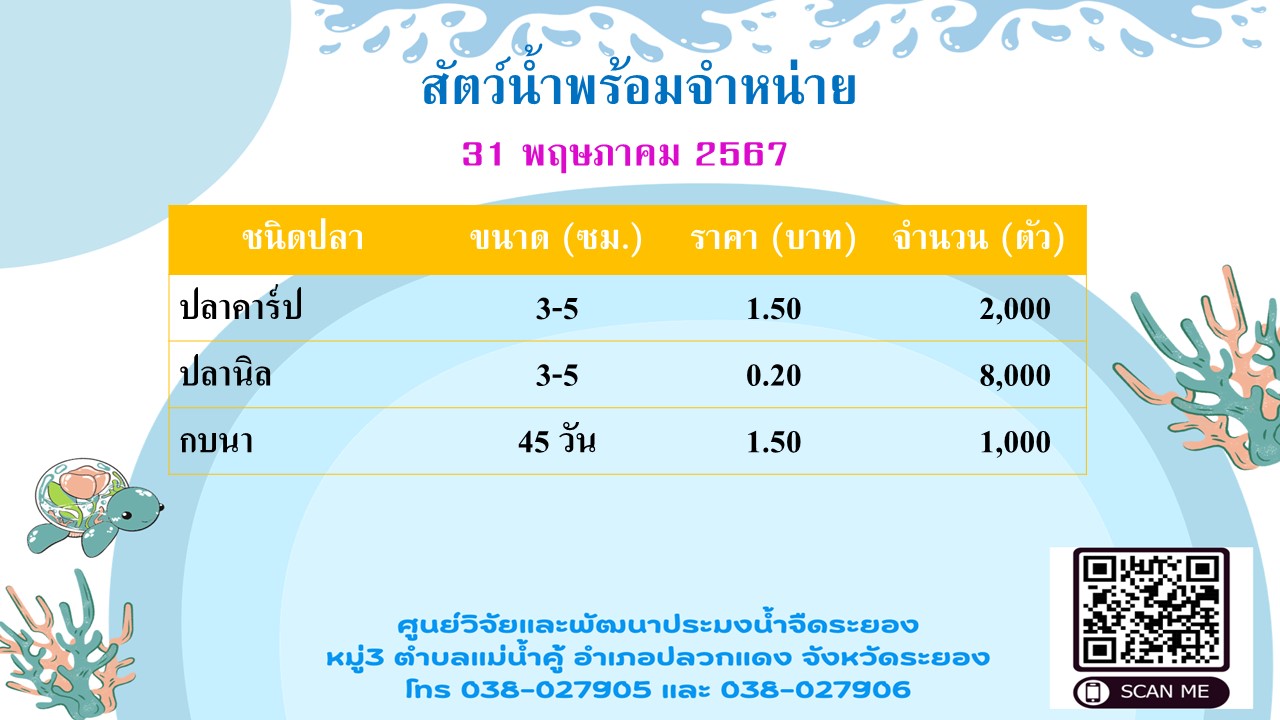 สัตว์น้ำพร้อมจำหน่าย วันที่ 31 พฤษภาคม 2567..คลิก