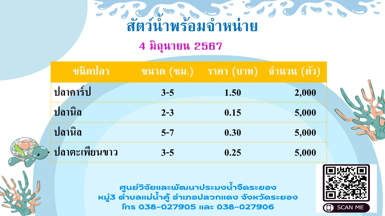สัตว์น้ำพร้อมจำหน่าย วันที่ 4 มิถุนายน 2567..คลิก