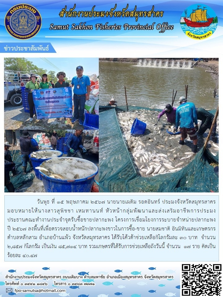 ลงพื้นที่ตรวจสอบน้ำหนักปลากระพงขาวในการซื้อ-ขาย ตำบลหลักสาม อำเภอบ้านแพร้ว