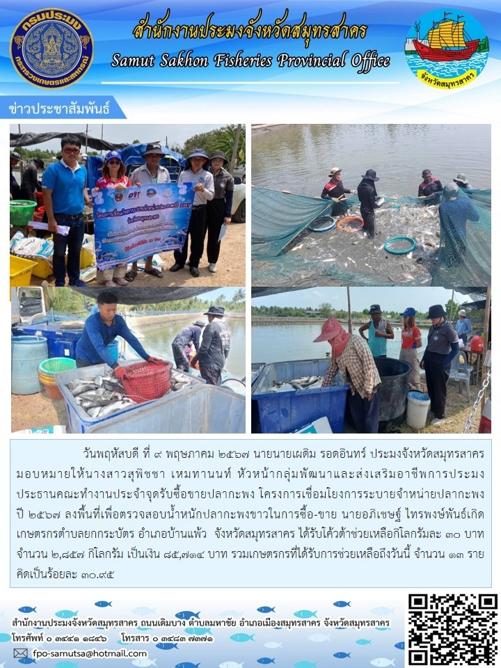 ลงพื้นที่เพื่อตรวจสอบน้ำหนักปลากระพงขาวในการซื้อ-ขาย ตำบลยกกระบัตร อำเภอบ้านแพร้ว