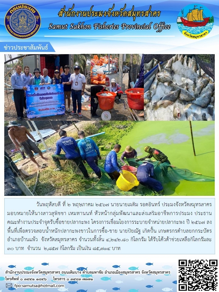 ลงพื้นที่ตรวจสอบน้ำหนักปลากระพงขาวในการซื้อ-ขาย ตำบลยกกระบัตร