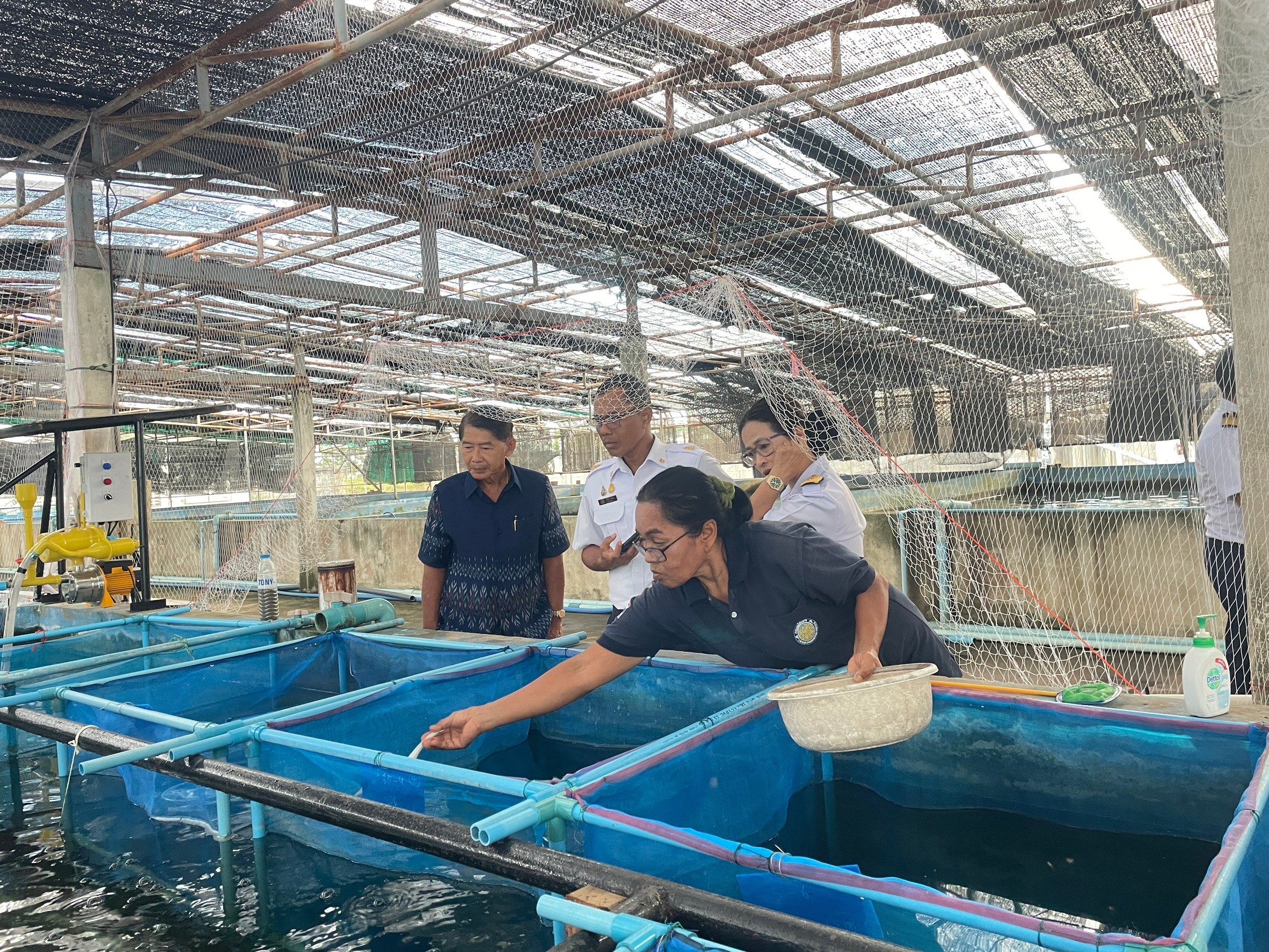 นายประพันธ์ ลีปายะคุณ รองอธิบดีกรมประมง พร้อมด้วยนายวิศณุพร รัตนตรัยวงศ์ ผู้อำนวยการกองวิจัยและพัฒนาการเพาะเลี้ยงสัตว์น้ำจืด ลงพื้นที่ตรวจเยี่ยมศูนย์ฯ อ่างทอง..คลิก