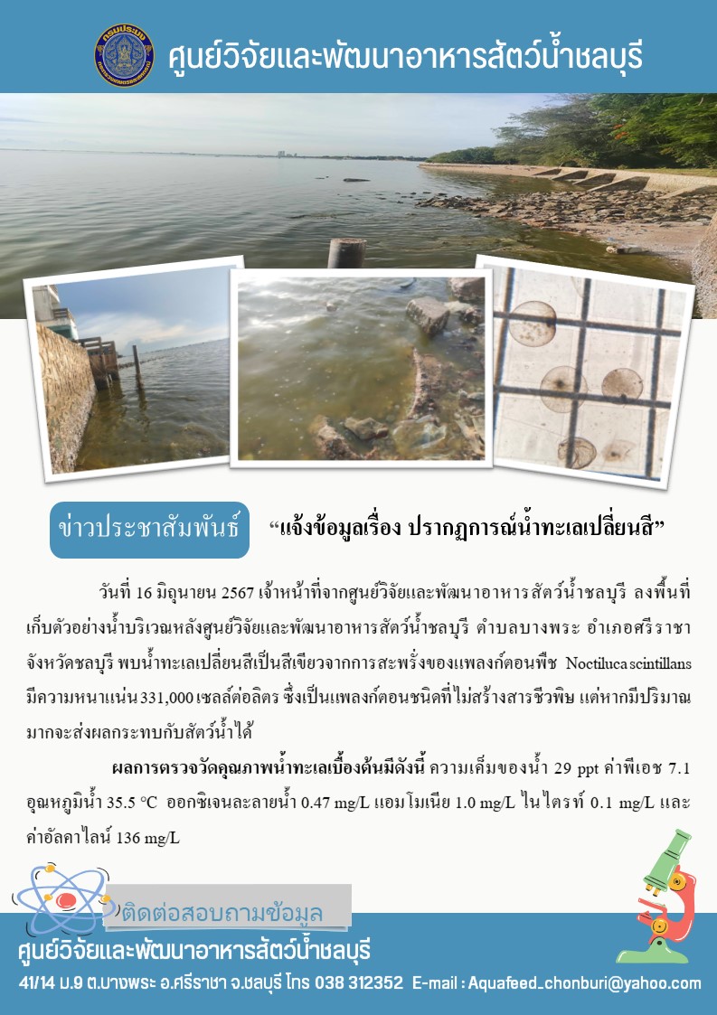ข่าวประชาสัมพันธ์ : แจ้งข้อมูลเรื่อง ปรากฏการณ์น้ำทะเลเปลี่ยนสี