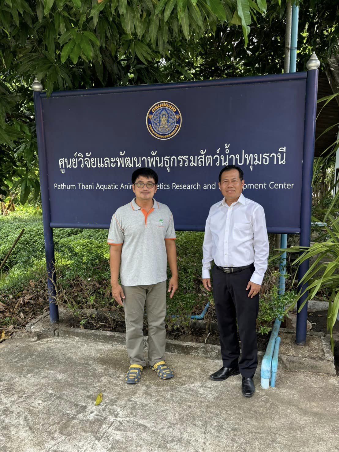 วันที่ 13 มิถุนายน 2567 เวลา 11.00 น นายพัฒนพงศ์  ชูแสง ประมงจังหวัดปทุมธานี เข้าพบหารือกับนายอาคม ชัมธิ ผอ กพก และตรวจเยี่ยม ชมการผลิตสัตว์น้าสายพันธุ์ของศพก ปทุม ซึ่งเป็นงานภายใต้ FC ปทุม โดยมีนายคูณชัย  อนันต์ ผู้อำนวยการศูนย์วิจัยและพัฒนาพันธุกรรมสัตว์น้ำปทุมธานี ให้การต้อนรับและพาเยี่ยมชม