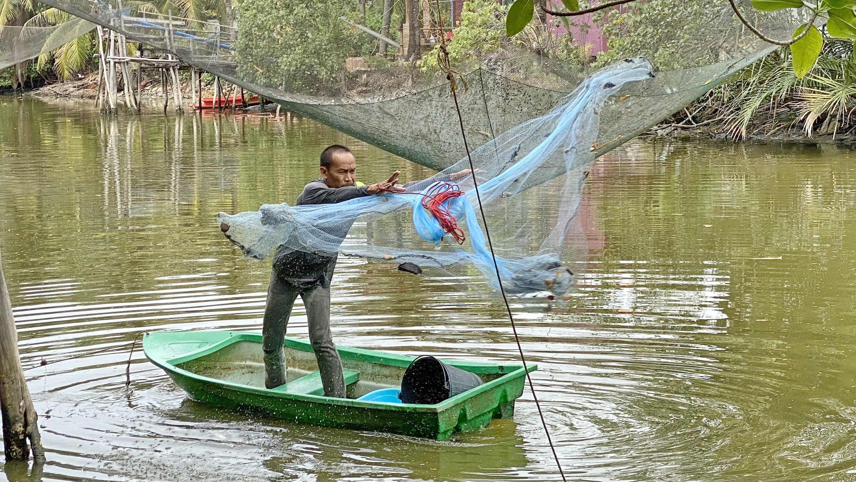 สำรวจการระบาดของปลาหมอสีคางดำ ในพื้นที่จังหวัดสงขลาและนครศรีธรรมราช..คลิก