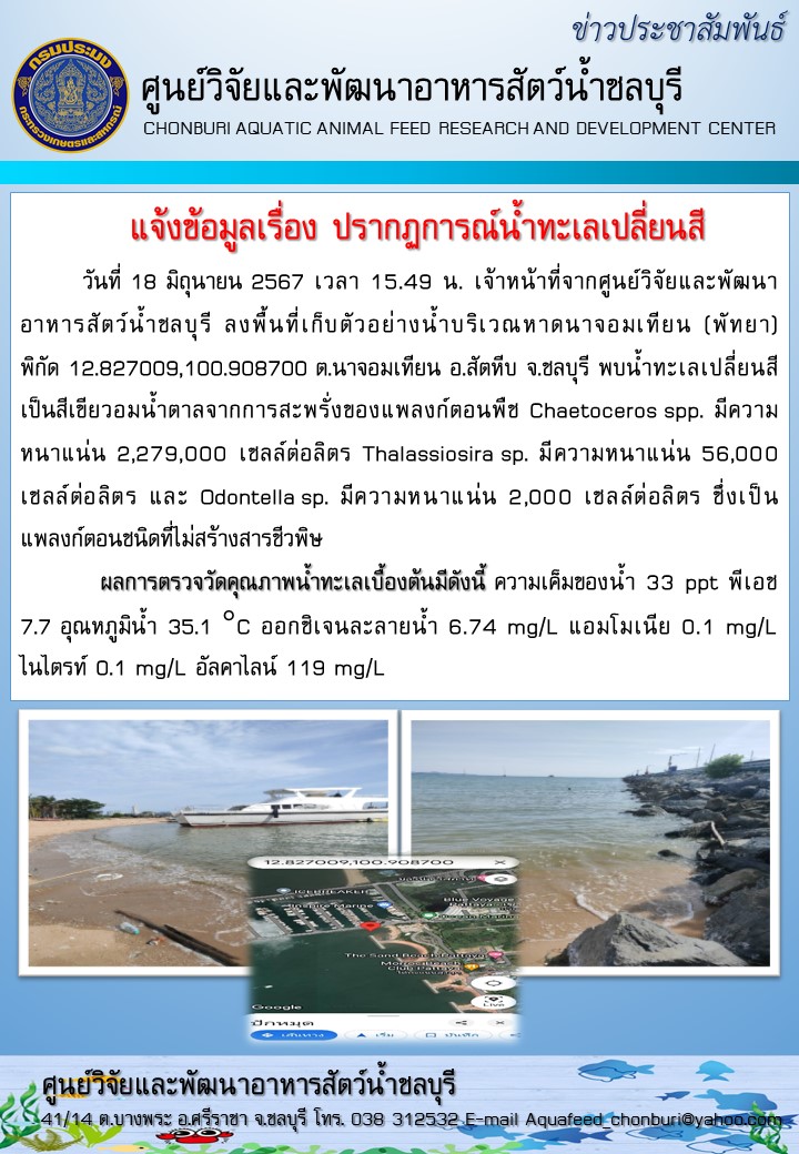 ข่าวประชาสัมพันธ์ : แจ้งข้อมูลเรื่อง ปรากฏการณ์น้ำทะเลเปลี่ยนสี