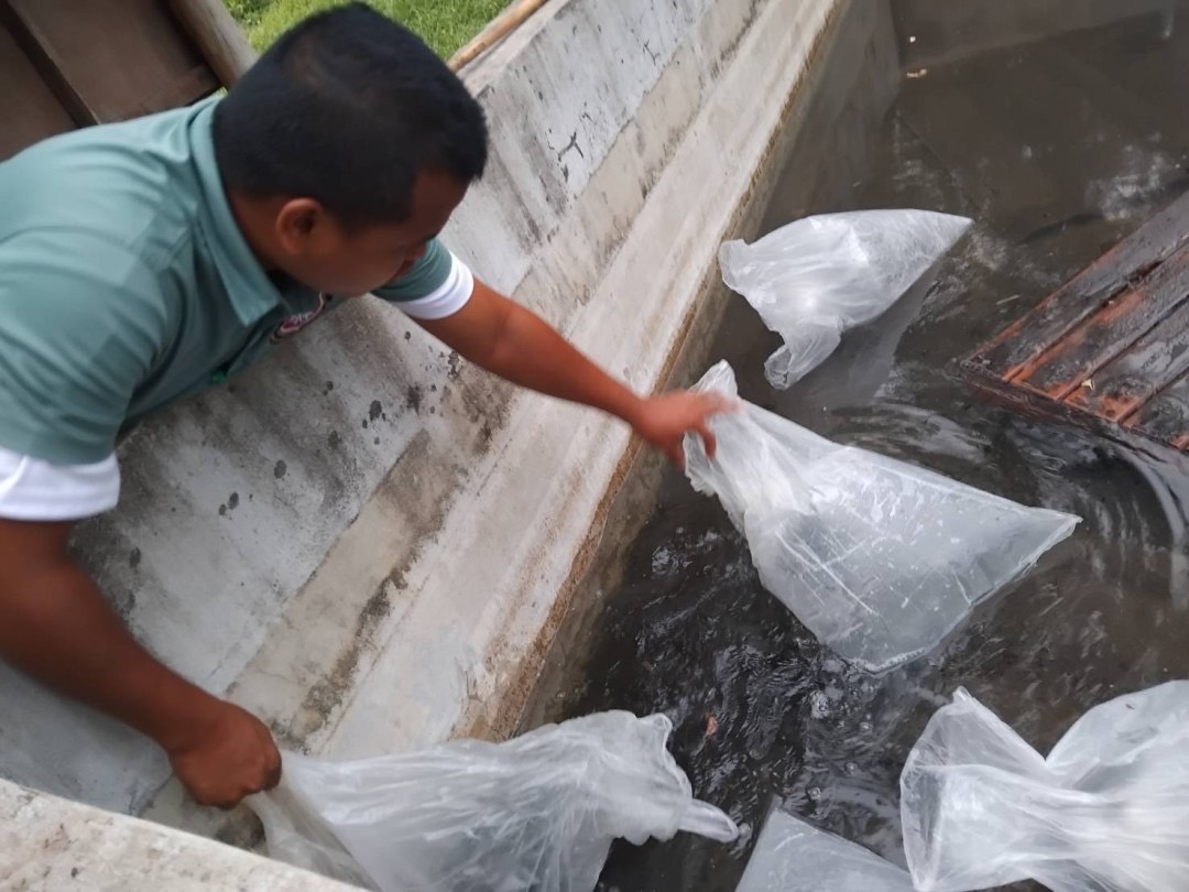 ประมงจังหวัดอุบลฯ มอบปัจจัยการผลิตตามโครงการสนับด้านการประมงตามพระราชดำริ สมเด็จพระกนิษฐาธิราชเจ้า กรมสมเด็จพระเทพรัตนราชสุดาฯ สยามบรมราชกุมารี ประจำปีงบประมาณ พ.ศ.2567..คลิก