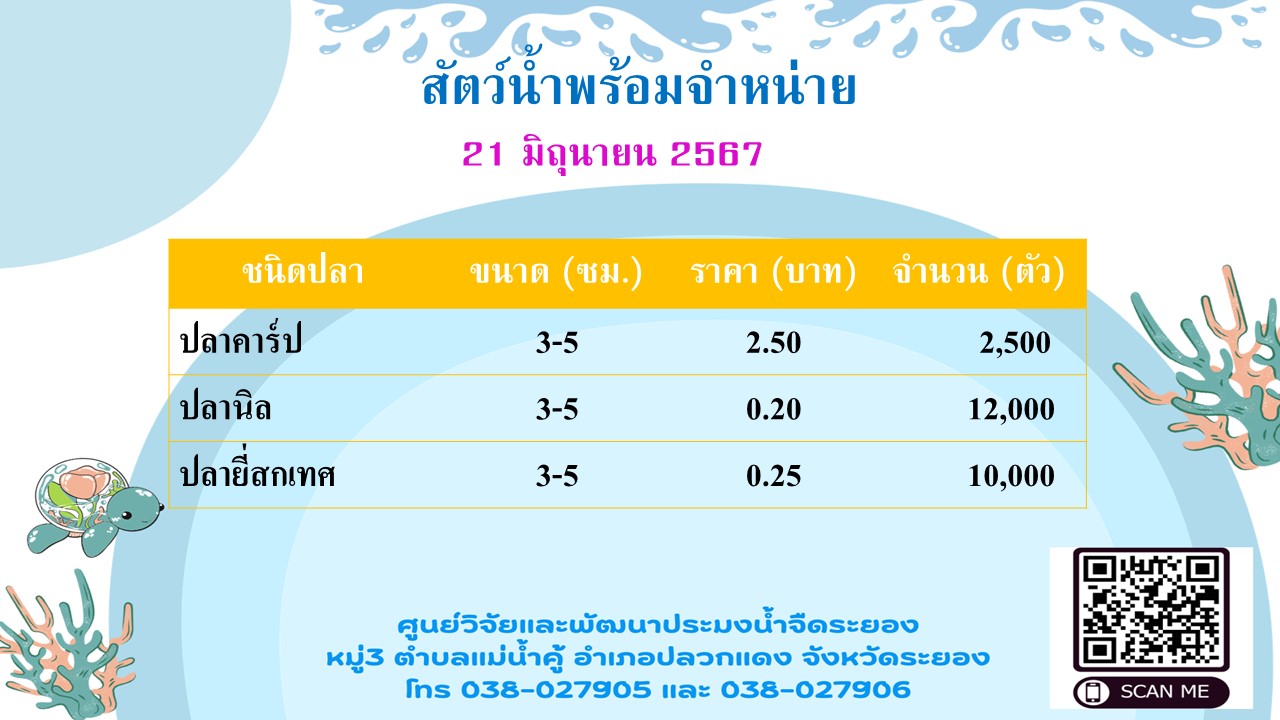 สัตว์น้ำพร้อมจำหน่าย วันที่ 21 มิถุนายน 2567..คลิก