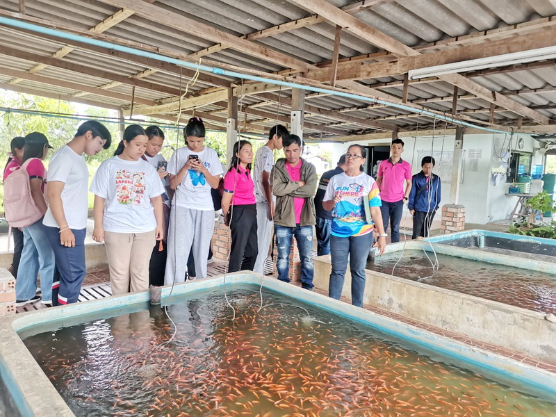 ต้อนรับคณะยุวประมง จากจังหวัดสุราษฎร์ธานี เข้าเยี่ยมชมการเพาะพันธุ์สัตว์น้ำ..คลิก