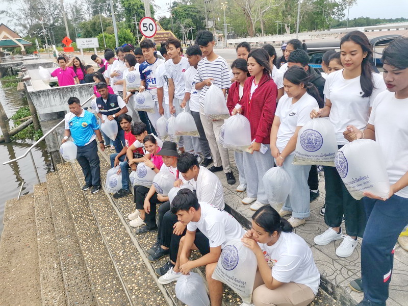 ร่วมปล่อยพันธุ์สัตว์น้ำ ลงสู่ทะเลสาบสงขลา อ.เมือง จ.พัทลุง..คลิก