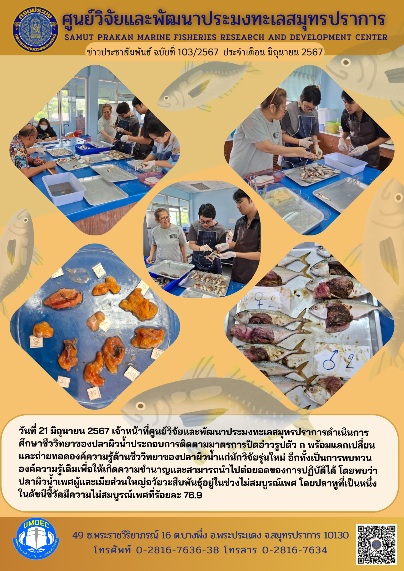 เจ้าหน้าที่ศูนย์วิจัยและพัฒนาประมงทะเลสมุทรปราการ ดำเนินการศึกษาชีววิทยาของปลาผิวน้ำประกอบการติดตามมาตรการปิดอ่าวรูปตัว ก..คลิก