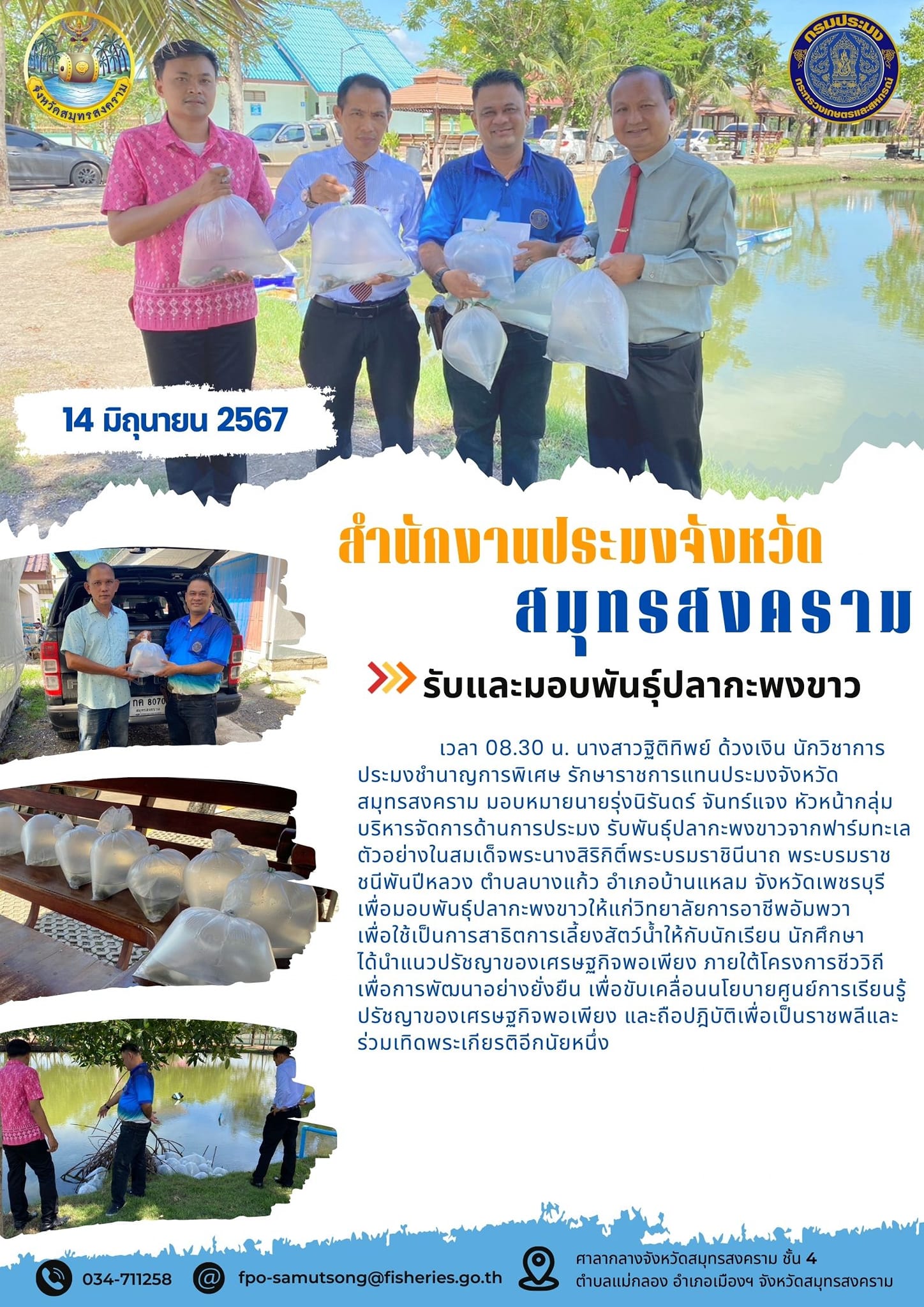 รับและมอบพันธุ์ปลากะพงขาว..คลิก