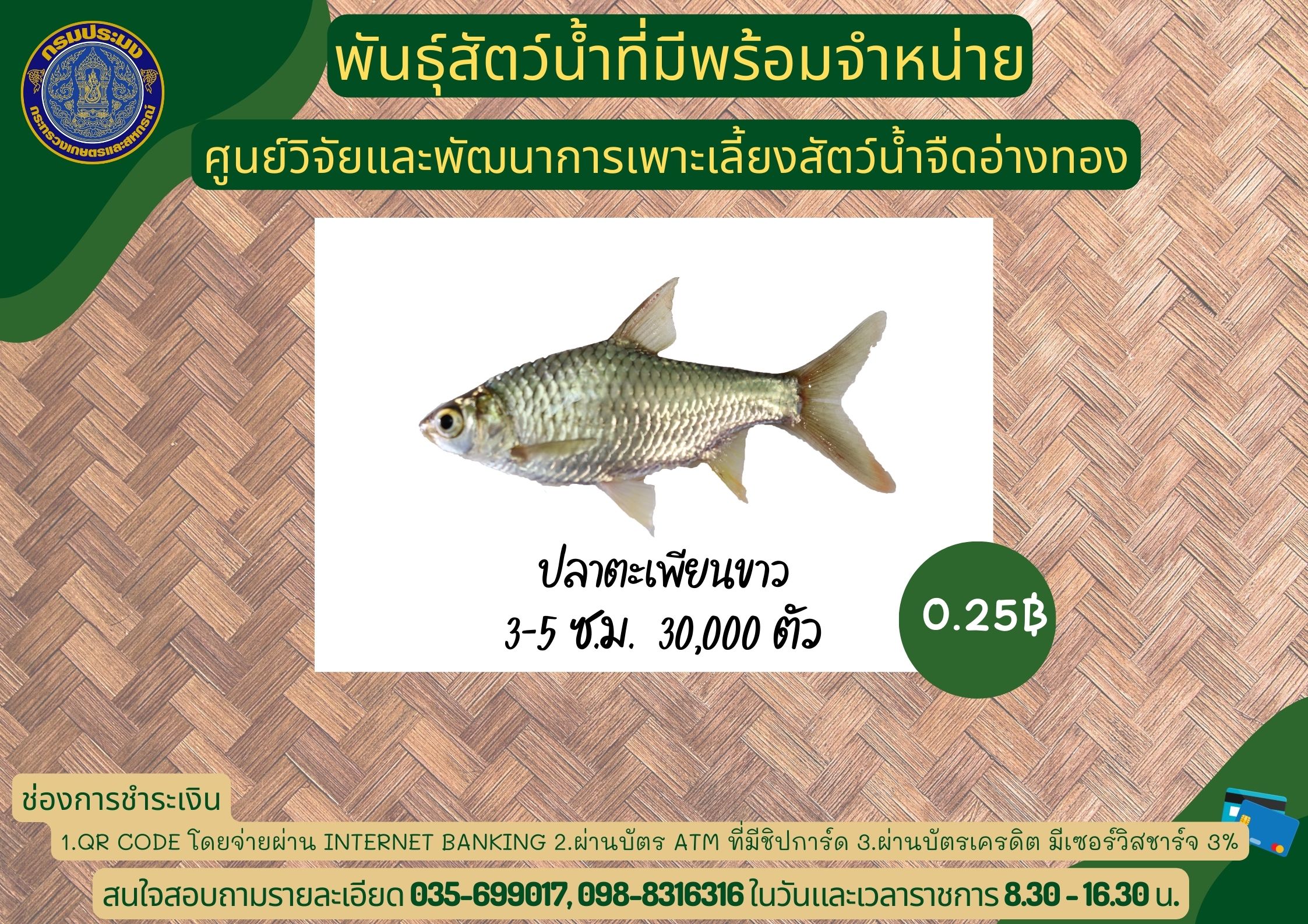 พันธุ์สัตว์น้ำที่มีพร้อมจำหน่าย