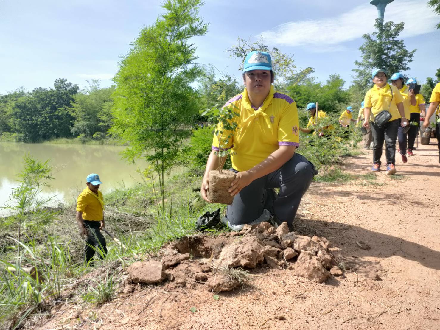 ประมงอำเภอนากลาง ร่วมโครงการรวมพลังจิตอาสา ร่วมพลังปลูกป่าและบำรุงรักษาต้นไม้ เพื่อคืนธรรมชาติให้ความอุดมสมบูรณ์ คืนอากาศสะอาดให้กับประชาชน กิจกรรม 7.2 ล้านต้น พลิกฟื้นป่าเฉลิมพระเกียรติฯ