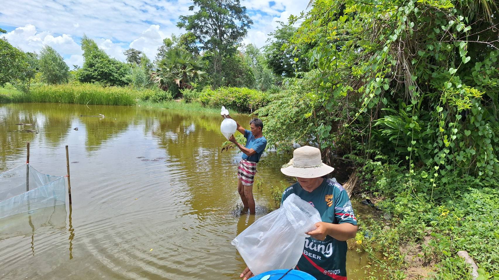 ประมงอุบลฯ ดำเนินงานตามแผนงานโครงการพัฒนาอาชีพการเพาะเลี้ยงปลาตะเพียนขาวในบ่อดิน งบกลุ่มจังหวัดภาคตะวันออกเฉียงเหนือตอนล่าง 2 ประจำปีงบประมาณ 2567  ..คลิก