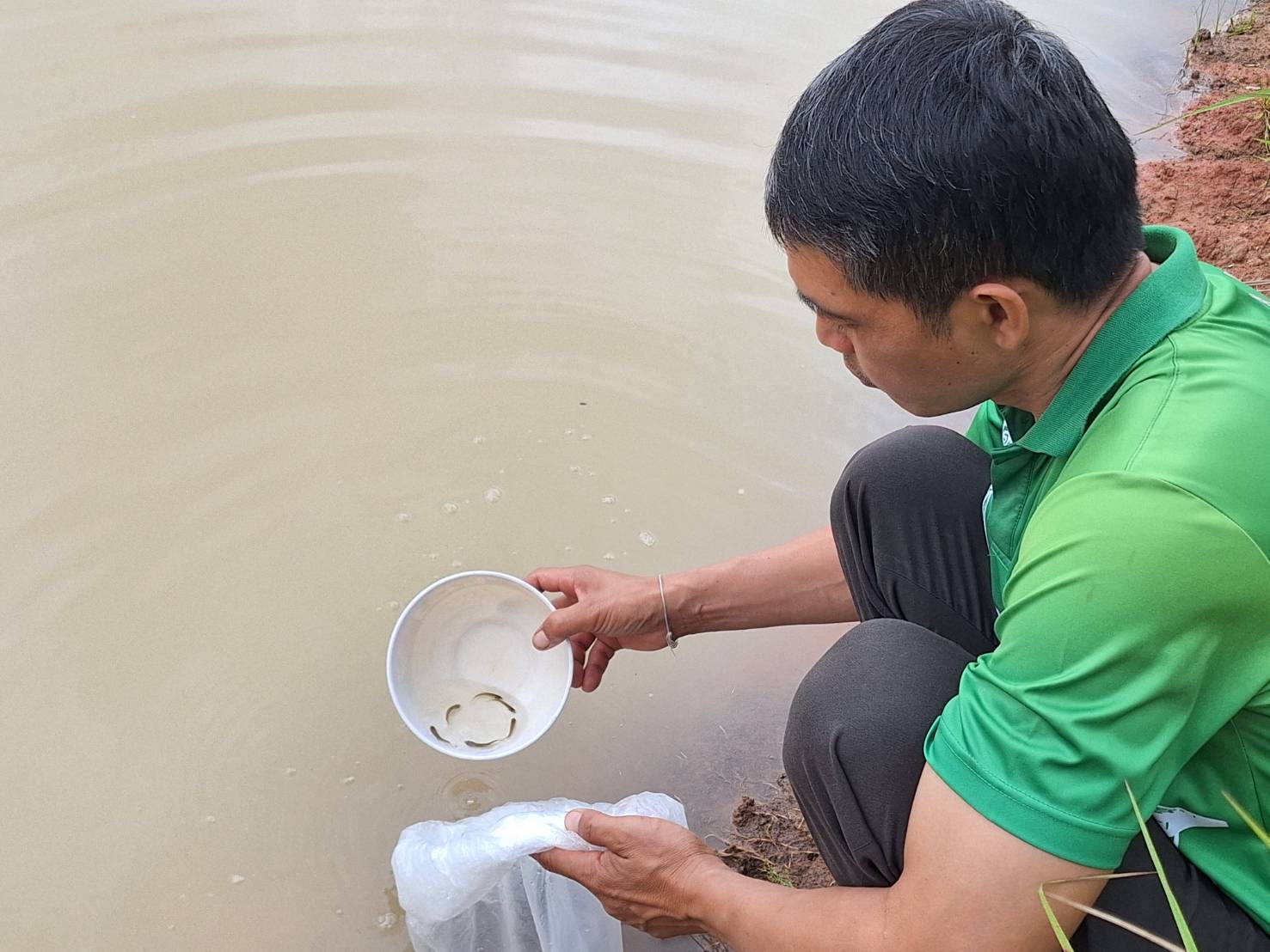 ประมงอุบลฯ ดำเนินงานตามแผนงานโครงการพัฒนาอาชีพการเพาะเลี้ยงปลาตะเพียนขาวในบ่อดิน งบกลุ่มจังหวัดภาคตะวันออกเฉียงเหนือตอนล่าง 2 ประจำปีงบประมาณ 2567..คลิก