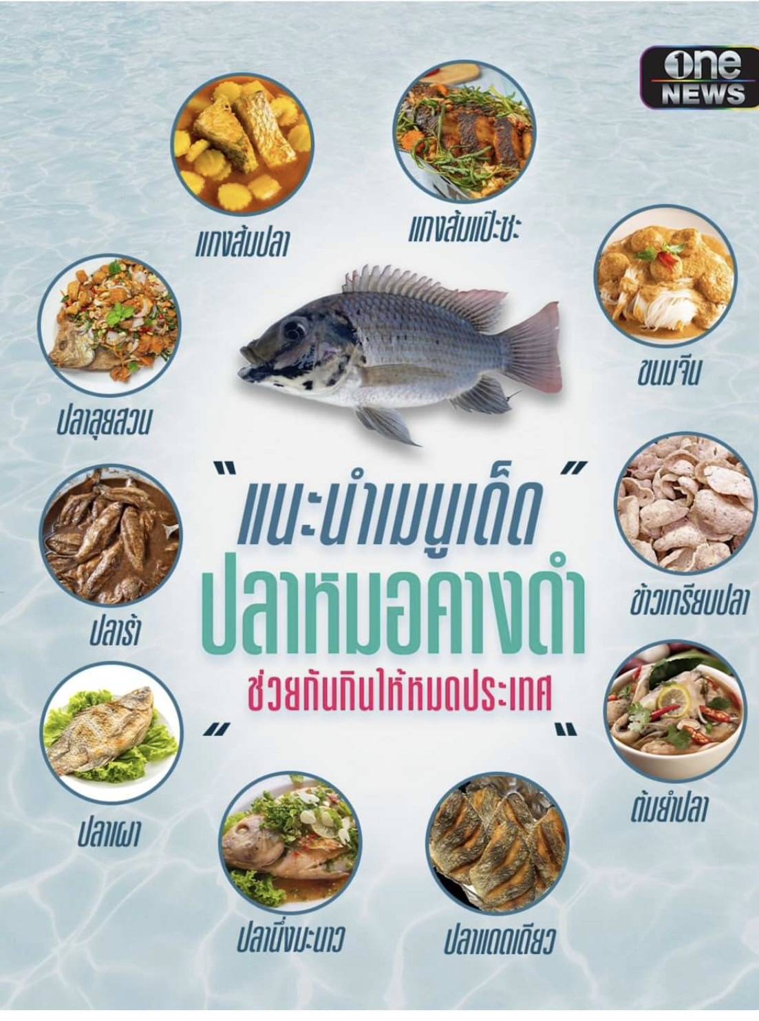 ปลาหมอคางดำ 