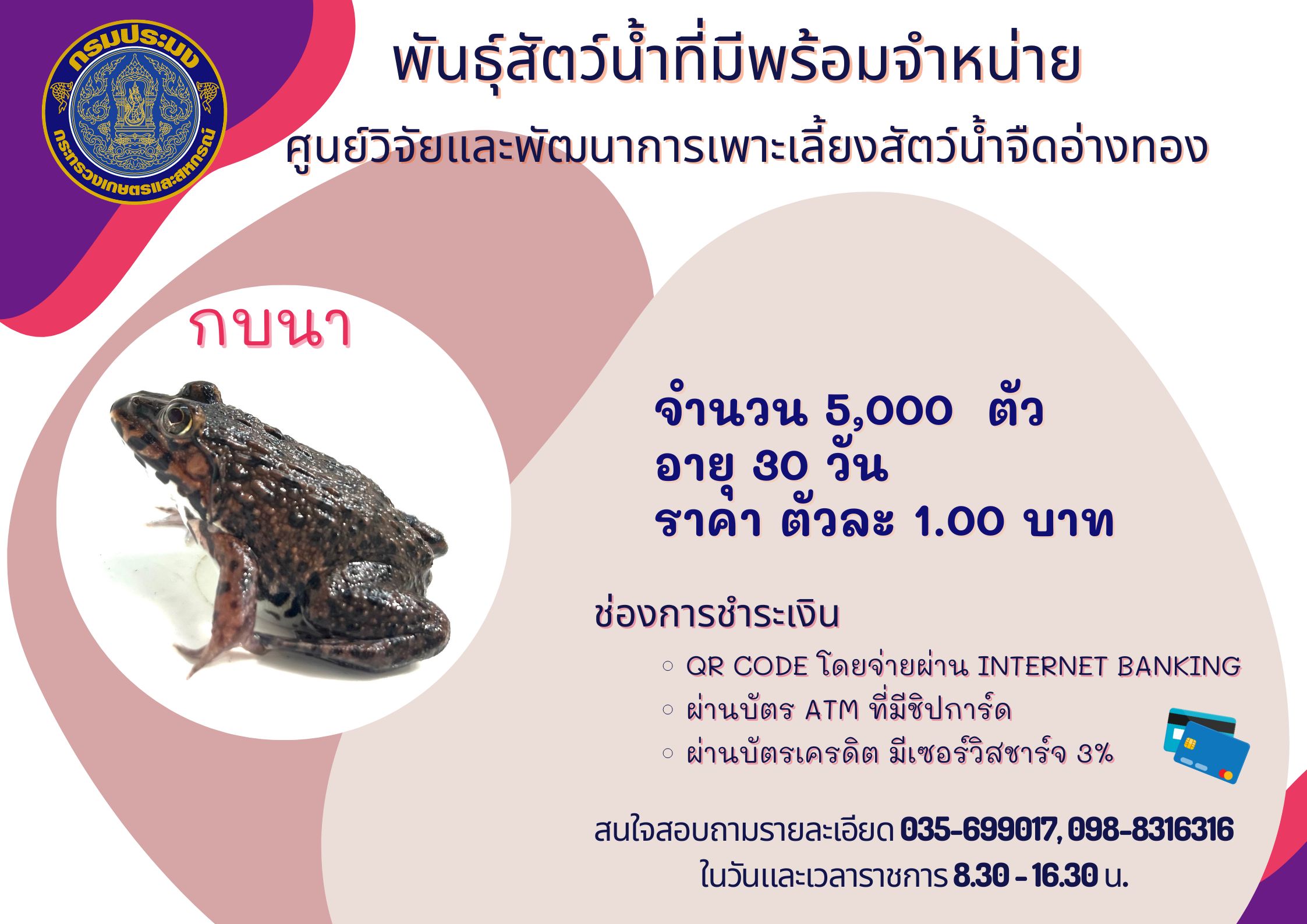 พันธุ์สัตว์น้ำที่มีพร้อมจำหน่าย..คลิก