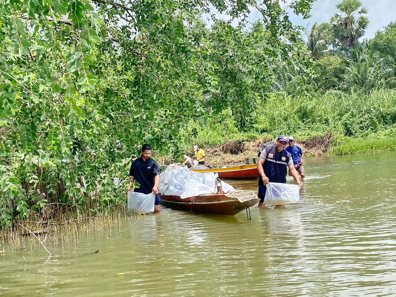 ร่วมปล่อยพันธุ์ปลากินพืช ลงสู่อ่าวท่าต่อเรือ อ.เขาชัยสน จ.พัทลุง..คลิก