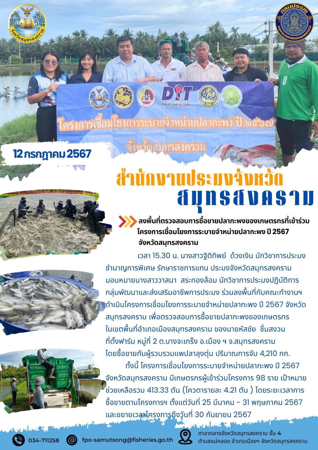 ลงพื้นที่ตรวจสอบการซื้อขายปลากะพงของเกษตรกรที่เข้าร่วมโครงการเชื่อมโยงการระบายจำหน่ายปลากะพง ปี 2567 จังหวัดสมุทรสงคราม..คลิก