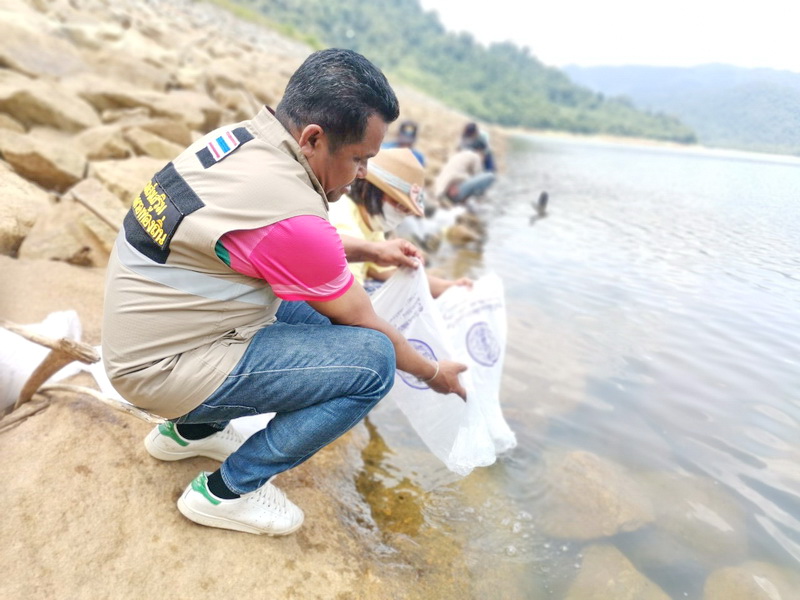 ร่วมปล่อยพันธุ์กุ้งก้ามกราม ลงสู่อ่างเก็บน้ำเขาหัวช้าง อ.ตะโหมด จ.พัทลุง..คลิก