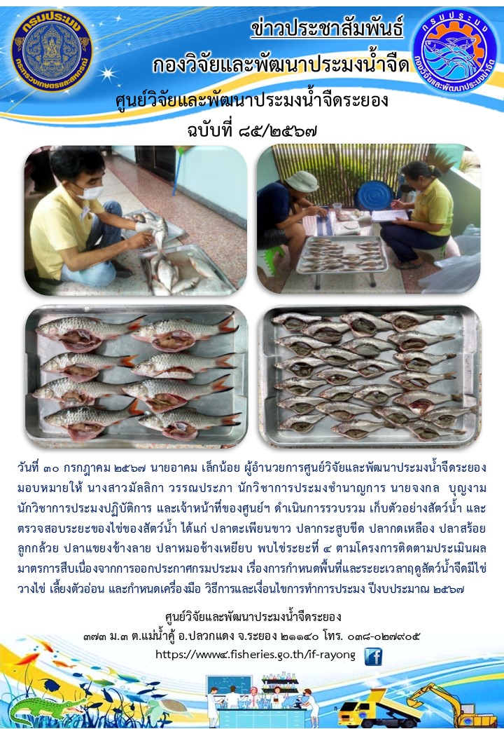 ข่าวประชาสัมพันธ์กิจกรรมฉบับที่ 85/2567..คลิก