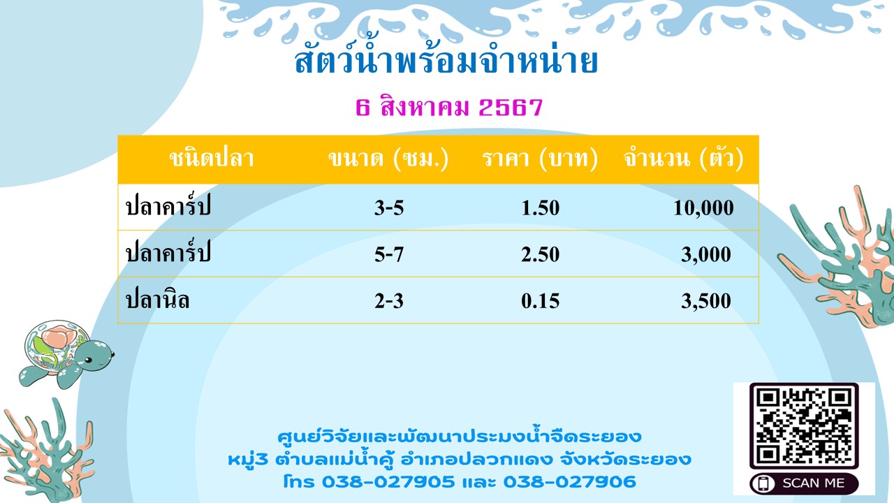 สัตว์น้ำพร้อมจำหน่าย วันที่ 6 สิงหาคม 2567..คลิก