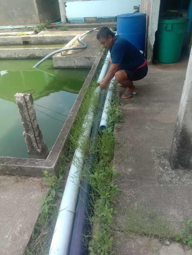 จัดกิจกรรม Big Cleaning Day..คลิก
