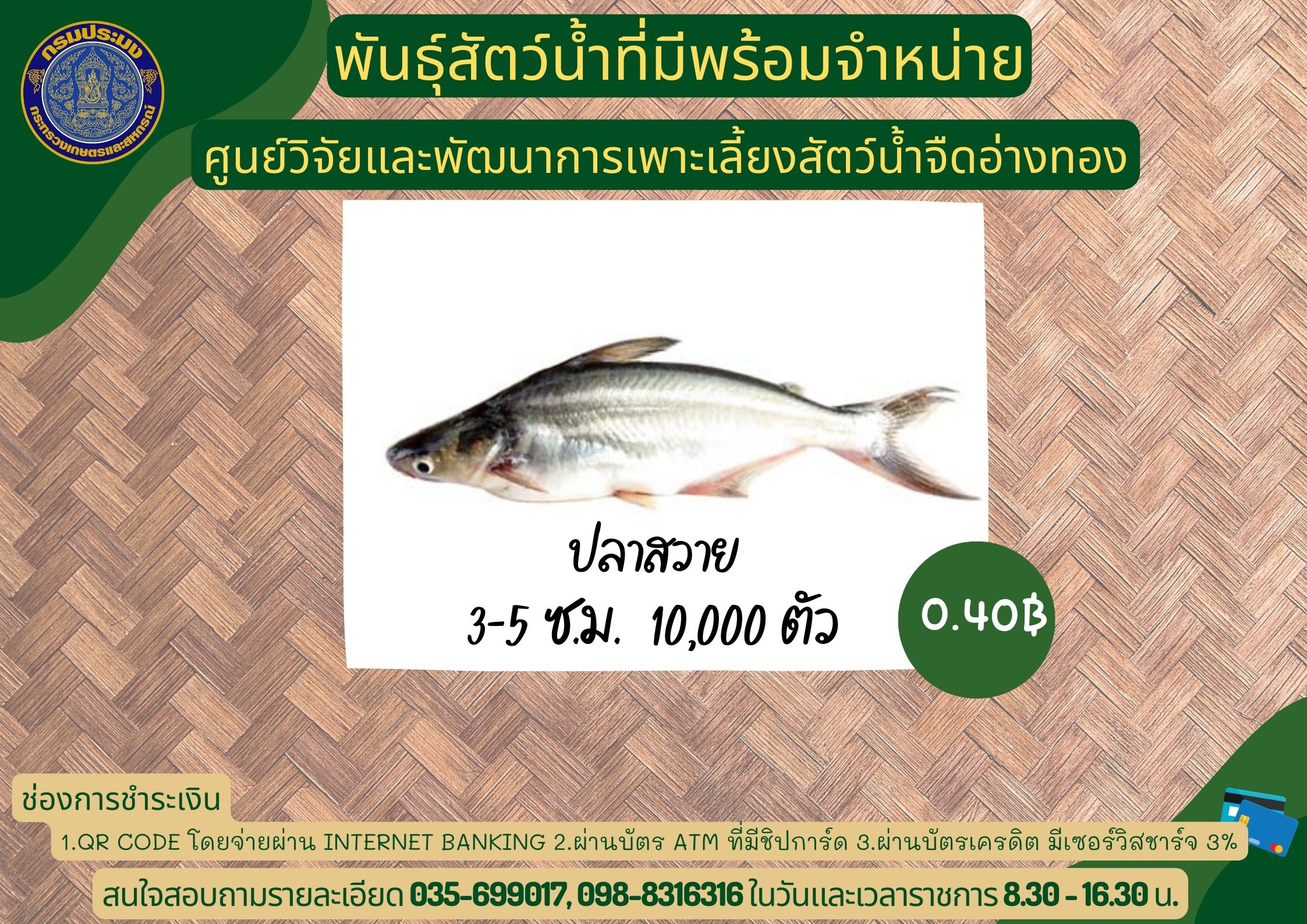 พันธุ์สัตว์น้ำที่มีพร้อมจำหน่าย..คลิก