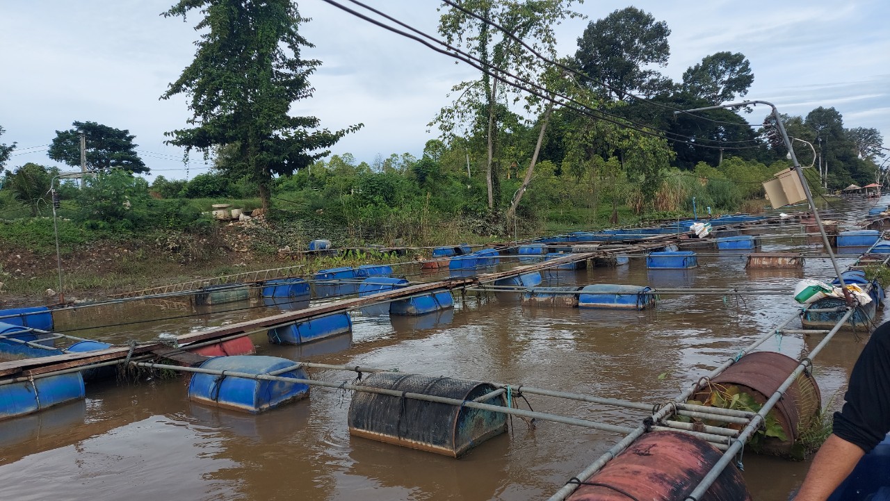 ติดตามการเกิดอุทกภัยในแม่น้ำแควน้อย พื้นที่อำเภอเมืองกาญจนบุรี และอำเภอด่านมะขามเตี้ย จังหวัดกาญจนบุรี..คลิก