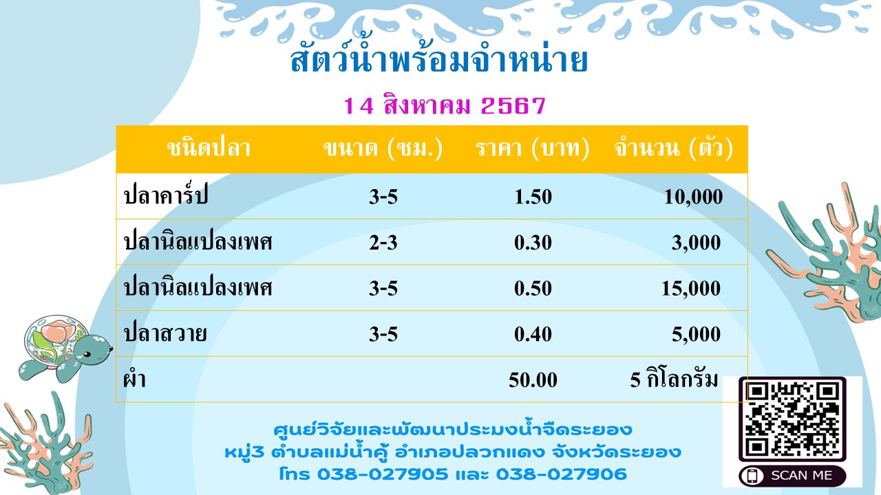 สัตว์น้ำพร้อมจำหน่าย วันที่ 14 สิงหาคม 2567..คลิก