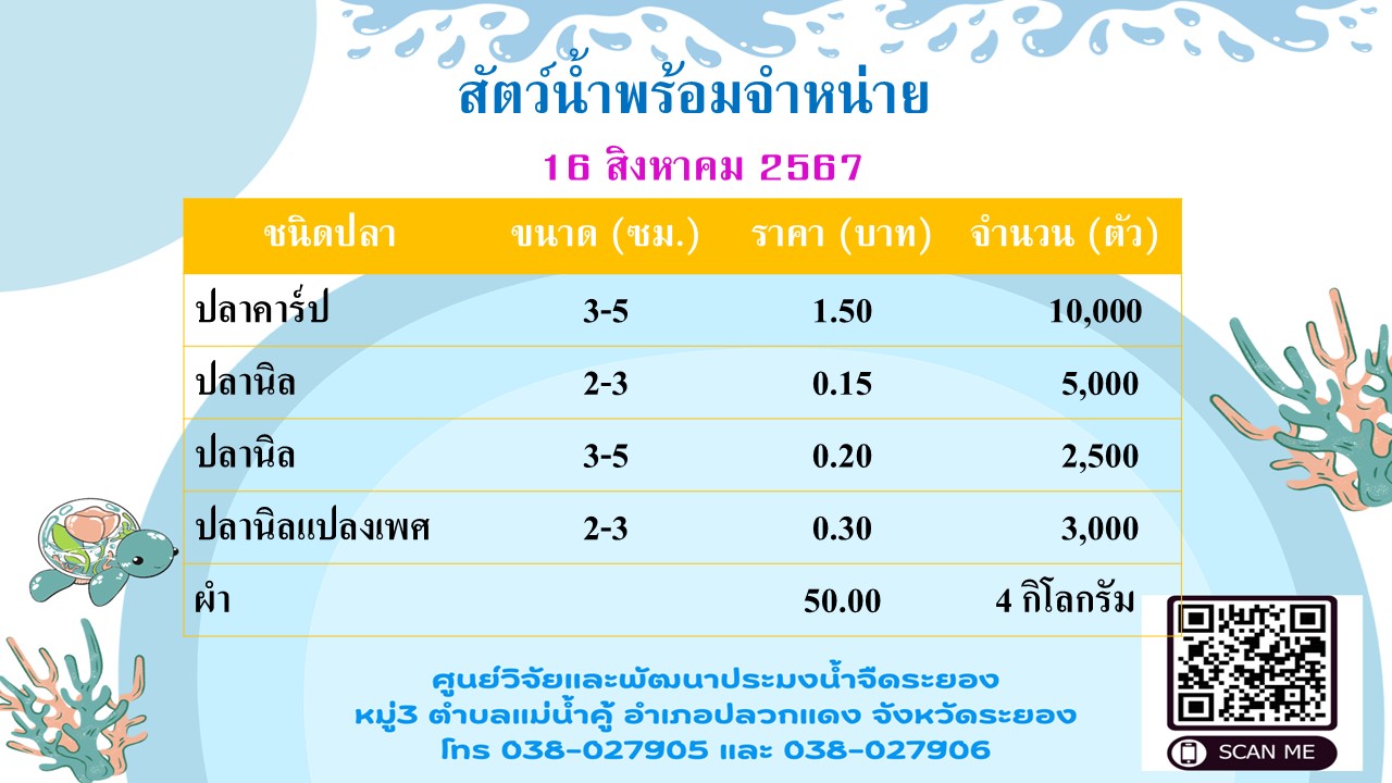 สัตว์น้ำพร้อมจำหน่าย วันที่ 16 สิงหาคม 2567..คลิก