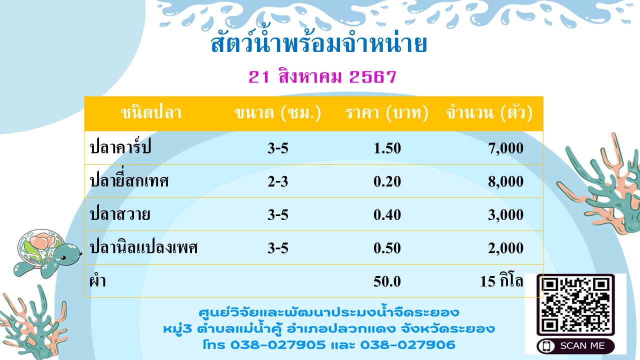 สัตว์น้ำพร้อมจำหน่าย วันที่ 21 สิงหาคม 2567..คลิก