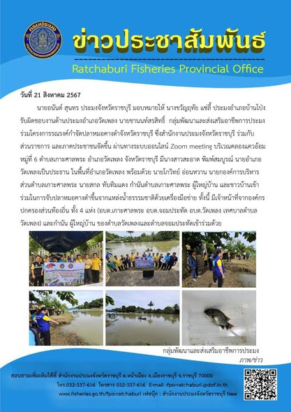 ร่วมโครงการรณรงค์กำจัดปลาหมอคางดำจังหวัดราชบุรี..คลิก