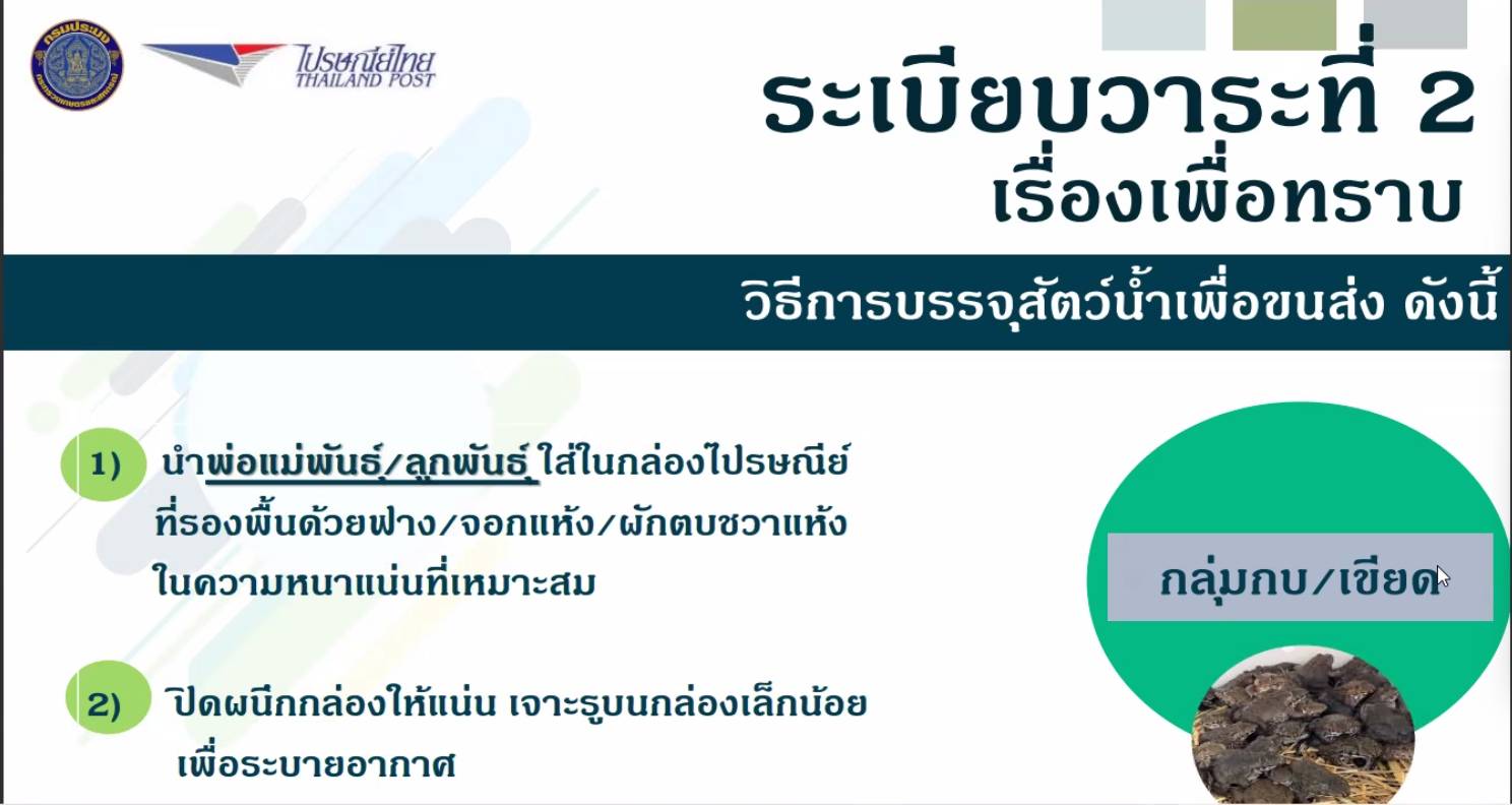 ประมงอุบลฯ ร่วมประชุมการประชาสัมพันธ์การขนส่งสัตว์น้ำมีชีวิตผ่านระบบบขนส่งไปรษณีย์ไทย..คลิก