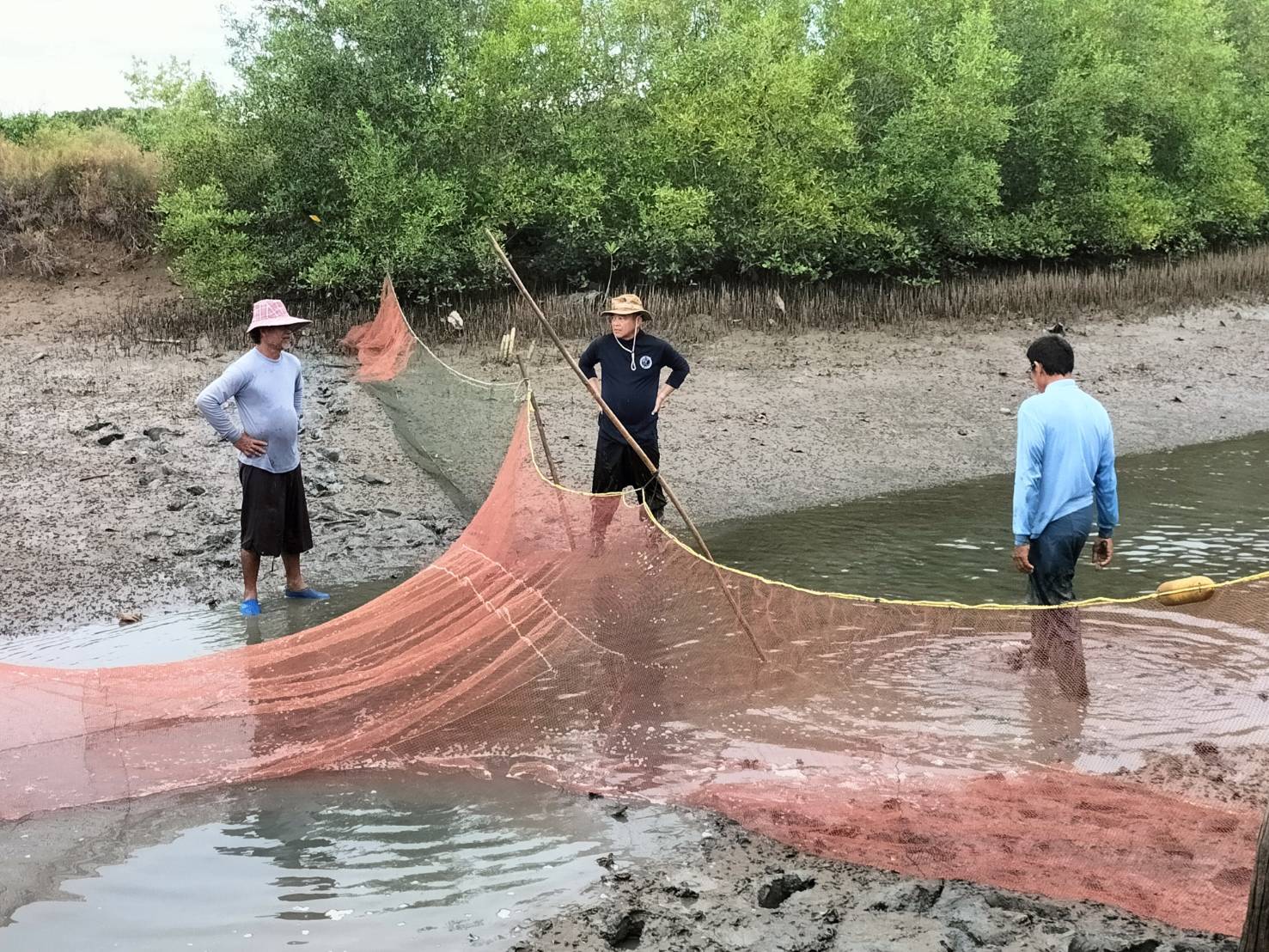 ร่วมกิจกรรม ลงแขกลงคลอง เพื่อกำจัดปลาหมอคางดำ บริเวณปากคลองบางทะลุ ม.2 ต.แหลมผักเบี้ย อำเภอบ้านแหลม จังหวัดเพชรบุรี..คลิก