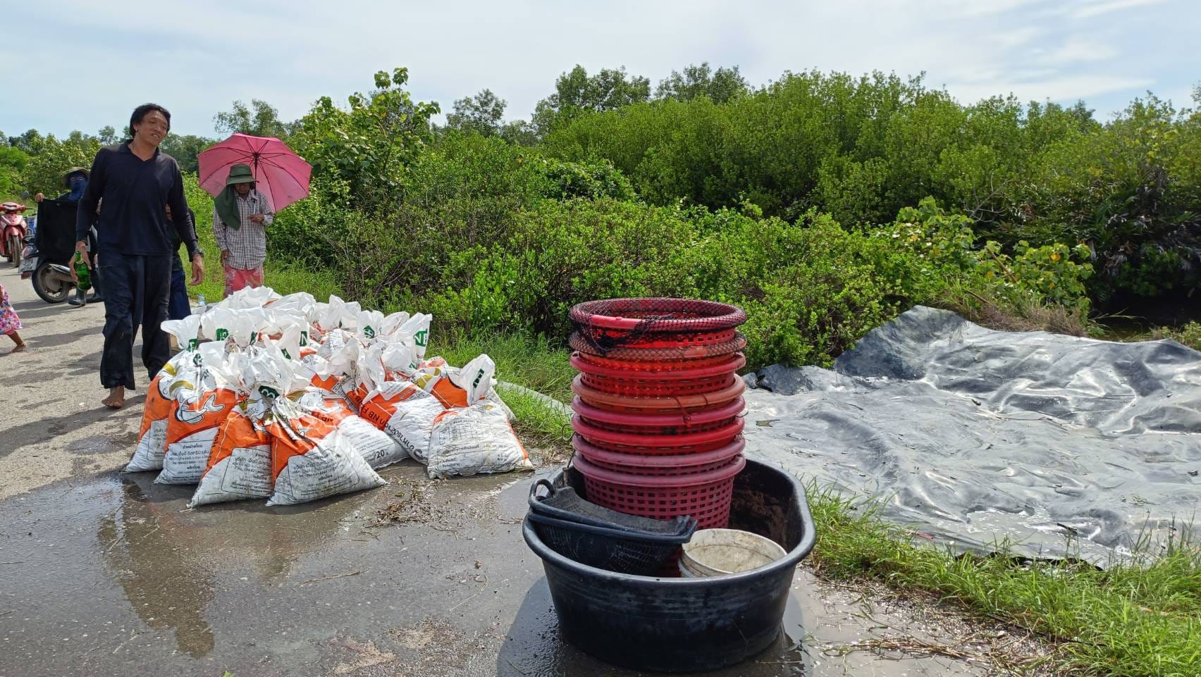 คณะทำงานประจำจุดรวบรวมวัตถุดิบปลาหมอคางดำ วันที่ 8 สิงหาคม..คลิก