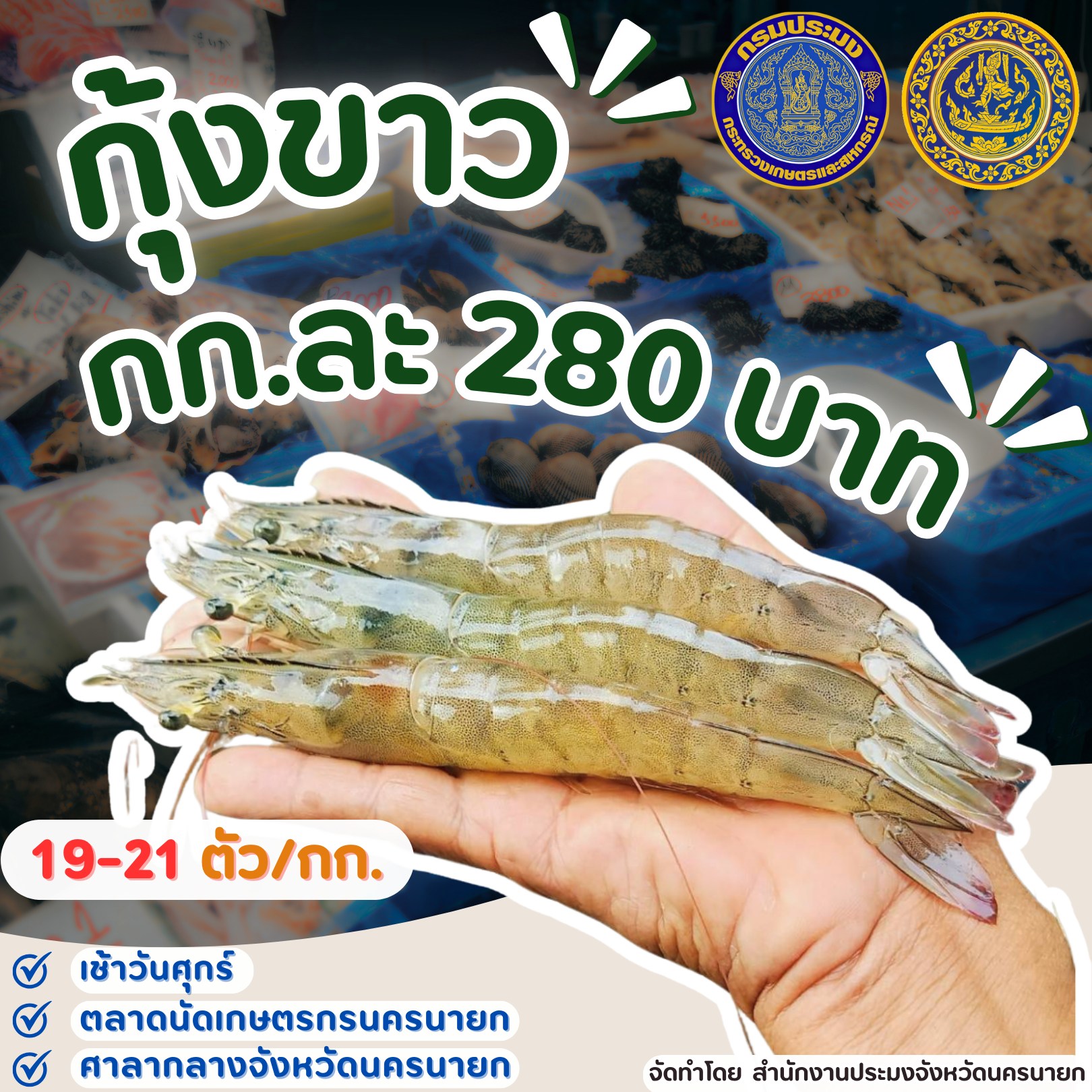 เช้าวันศุกร์ที่ 16 กรกฎาคม 2567 พบกับกุ้งขาวสดๆ ที่ตลาดนัดเกษตรกรนครนายก..คลิก