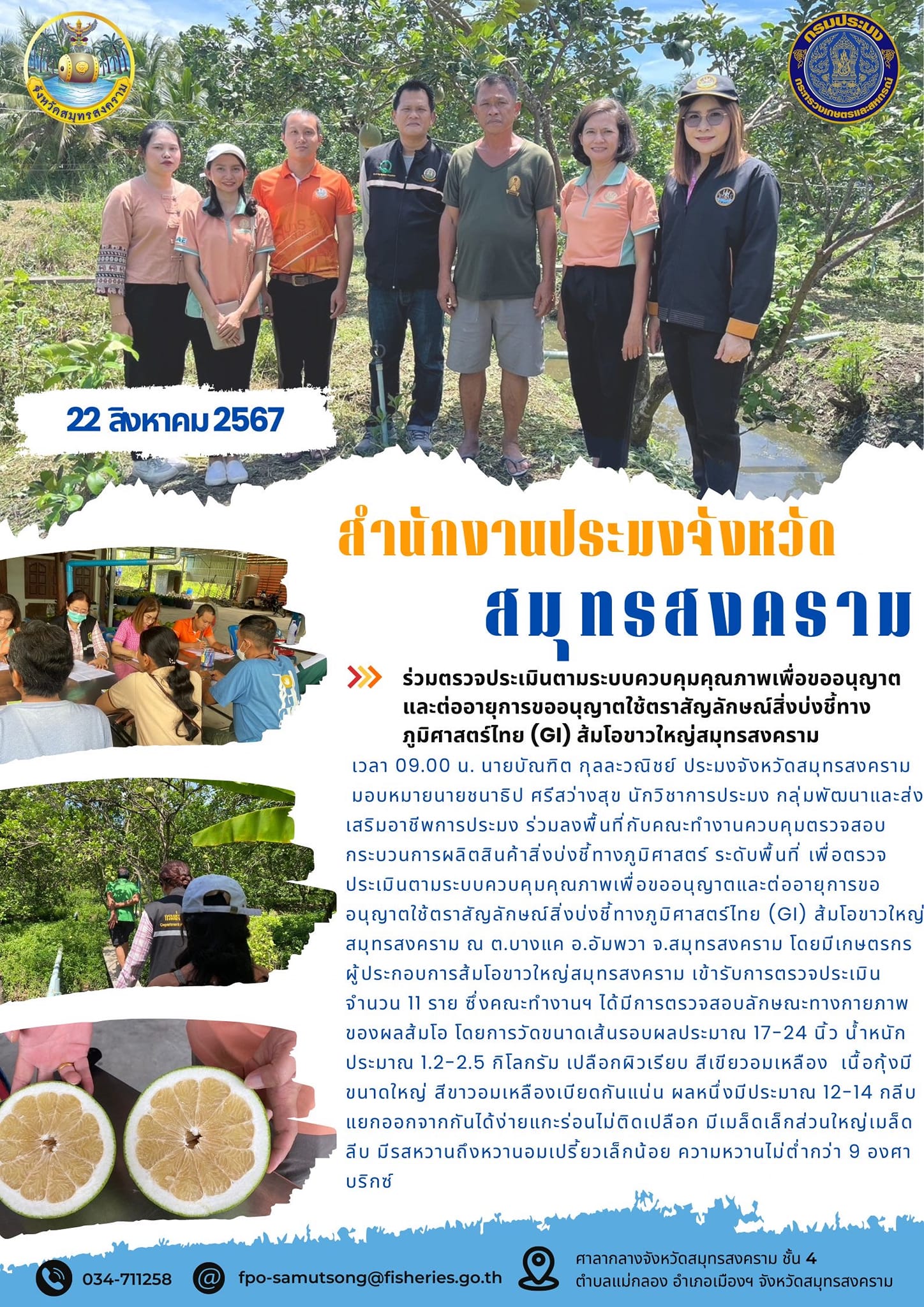 ร่วมตรวจประเมินตามระบบควบคุมคุณภาพเพื่อขอขอนุญาต และต่ออายุการขออนุญาตใช้ตราสัญลักษณ์สิ่งบ่งบ่งชี้ทาง ภูมิศาสตร์ไทย (GI) ส้มโอขาวใหญ่สมุทรสงคราม..คลิก