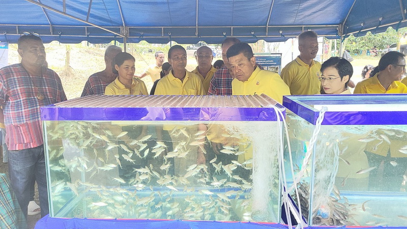 ร่วมปล่อยพันธุ์สัตว์น้ำโครงการเพิ่มผลผลิตสัตว์น้ำในแหล่งน้ำธรรมชาติ พื้นที่อำเภอศรีนครินทร์ จังหวัดพัทลุง..คลิก