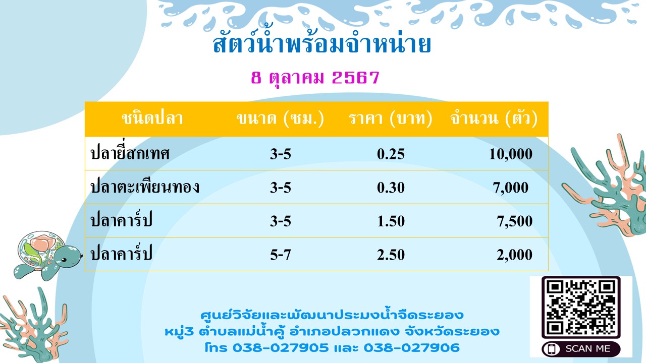 สัตว์น้ำพร้อมจำหน่าย วันที่ 8 ตุลาคม 2567..คลิก