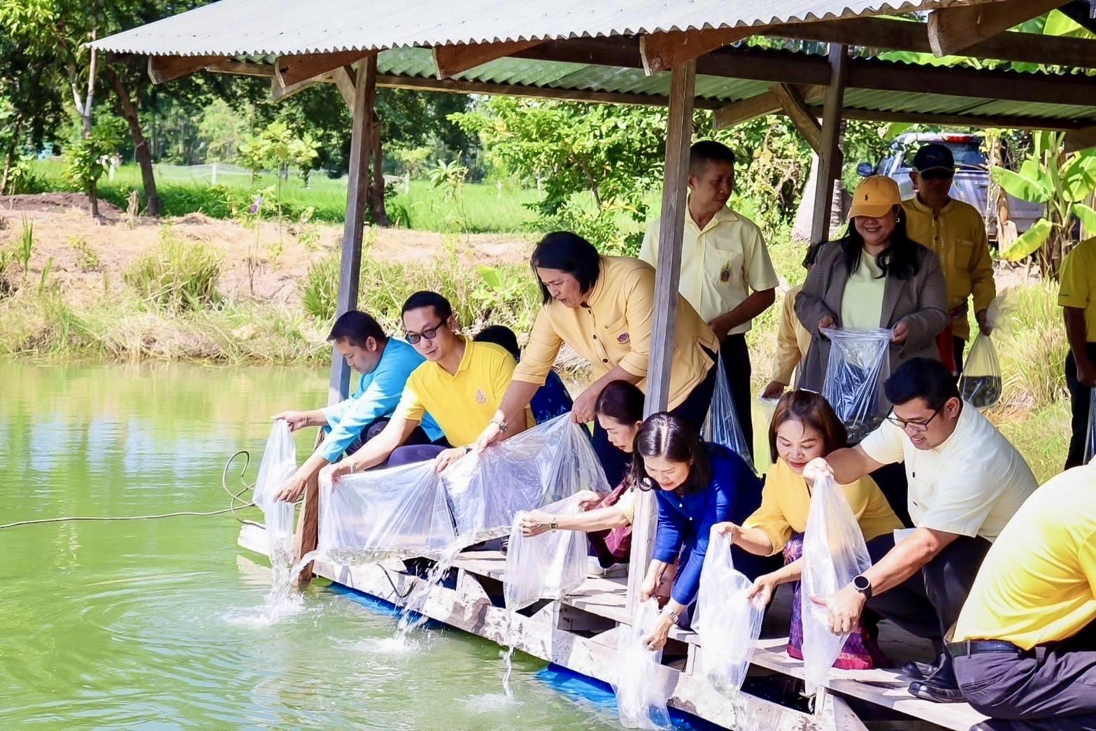 ร่วมกิจกรรม Live Action แปลงโคก หนอง นา อารยเกษตร งานการจัดแสดงนิทรรศการนานาชาติ Sustainability Expo 2024..คลิก