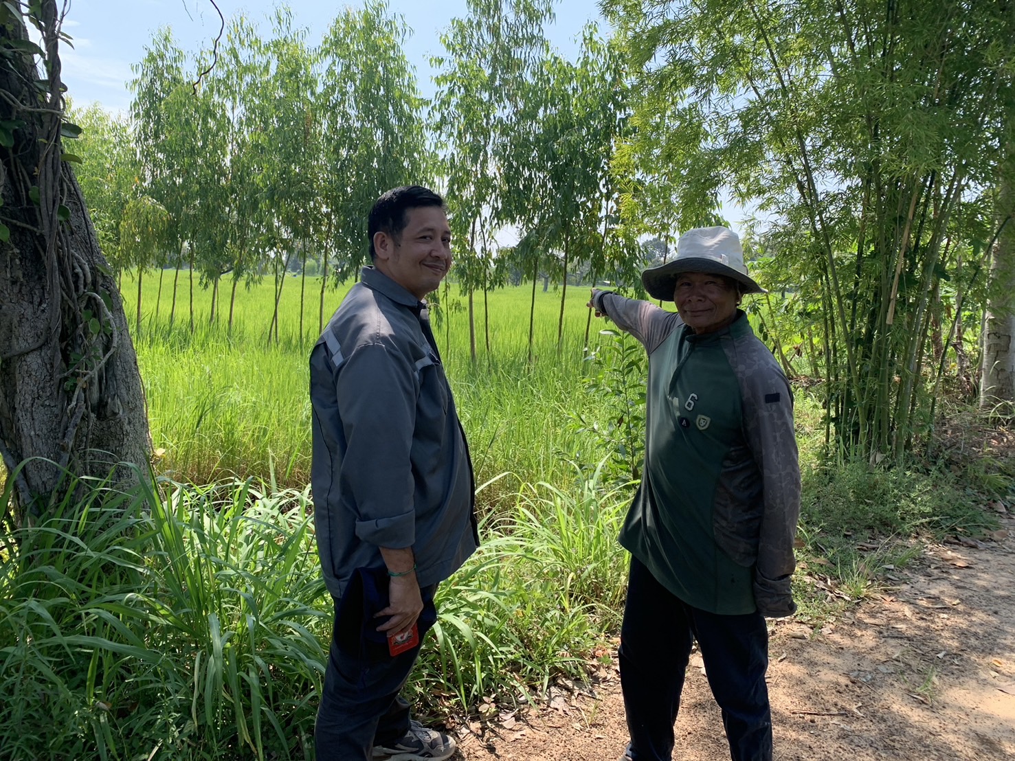 ประมงอำเภอเขื่องใน จนท.สนง.ประมงจังหวัดอุบลราชธานี ร่วมกับ เจ้าหน้าที่บริษัท เอมาร์ค ตรวจรับรองมาตรฐาน GAP ปลาตะเพียนขาว..คลิก