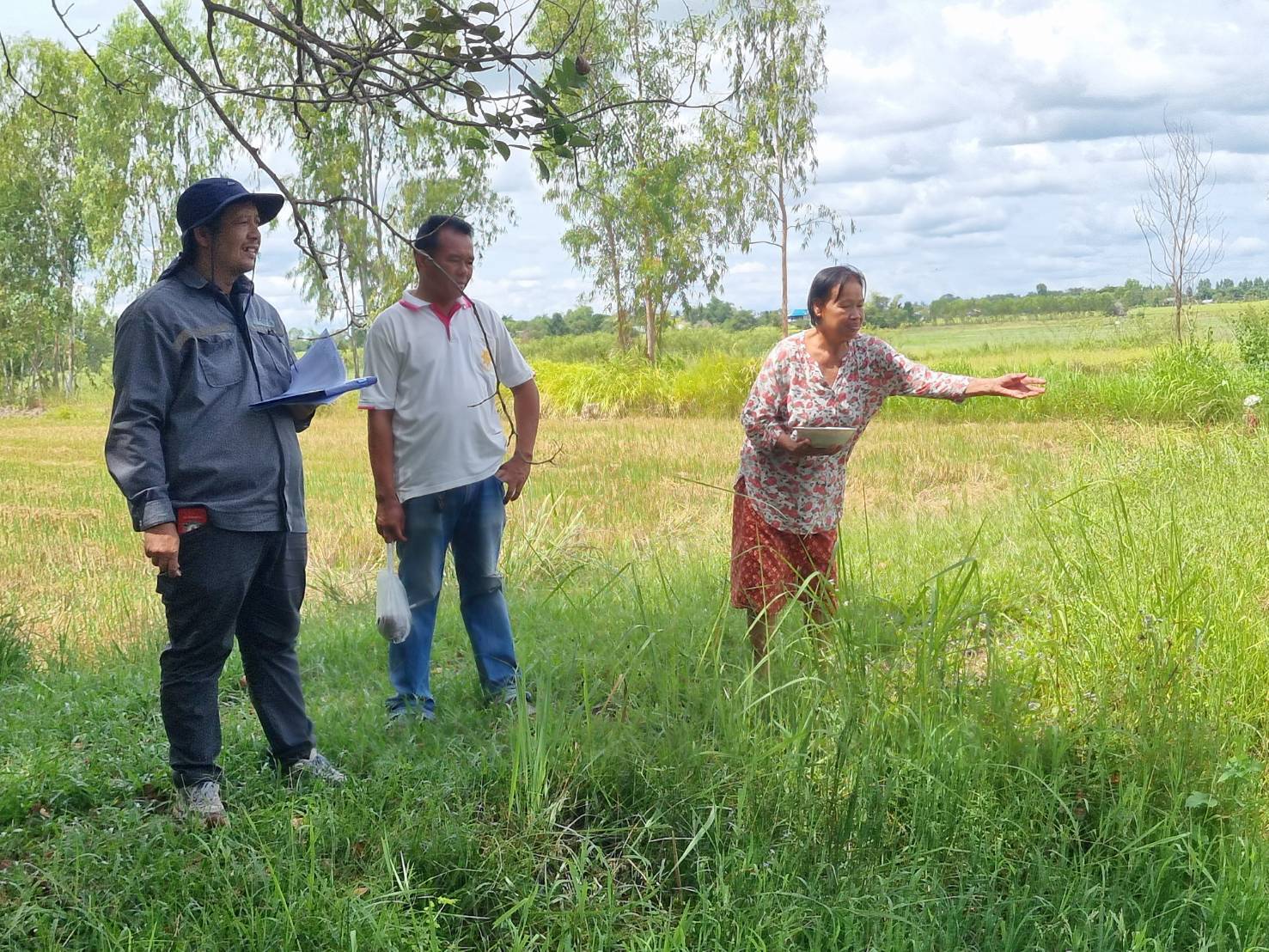 ประมงอำเภอพิบูลมังสาหาร ดำเนินงานโครงการส่งเสริมการเลี้ยงปลาตะเพียนขาวในบ่อดิน(งบพัฒนากลุ่มจังหวัดภาคตะวันออกเฉียงเหนือตอนล่าง2) ..คลิก