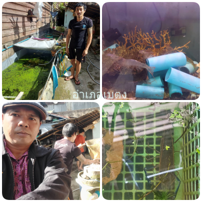 ผลการปฏิบัติงานประจำวันอังคารที่ 22 ตุลาคม 2567..คลิก