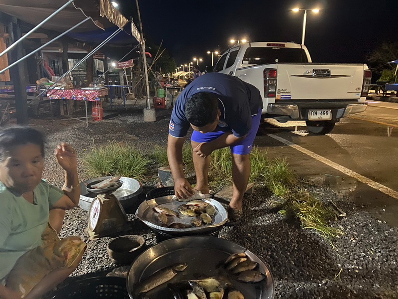 ดำเนินการสำรวจตัวอย่างปลาน้ำจืดมีไข่ ในพื้นที่ทะเลน้อยจังหวัดพัทลุง