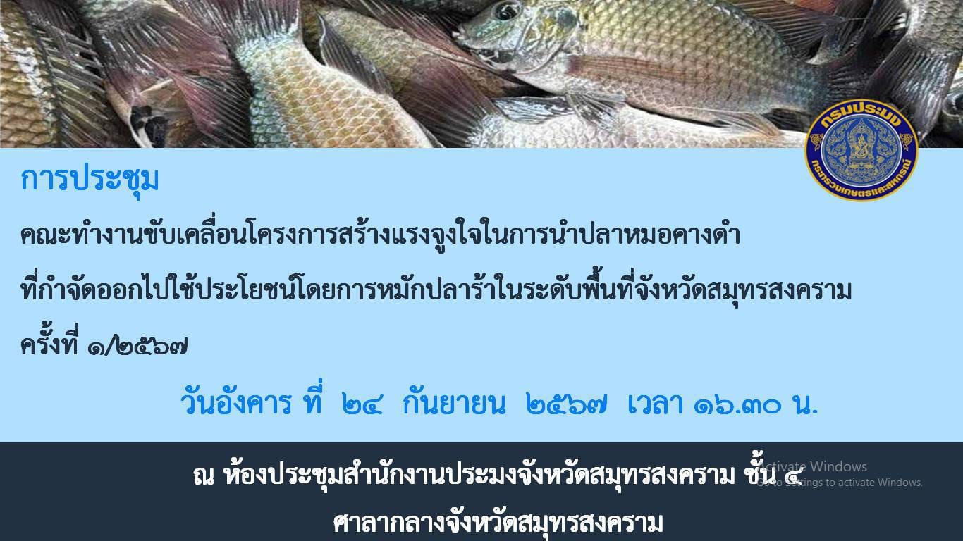 ประชุมคณะทำงานขับเคลื่อนโครงการสร้างแรงจูงใจในการนำปลาหมอคางดำที่กำจัดออกไปใช้ประโยชน์ โดยการหมักปลาร้า..คลิก