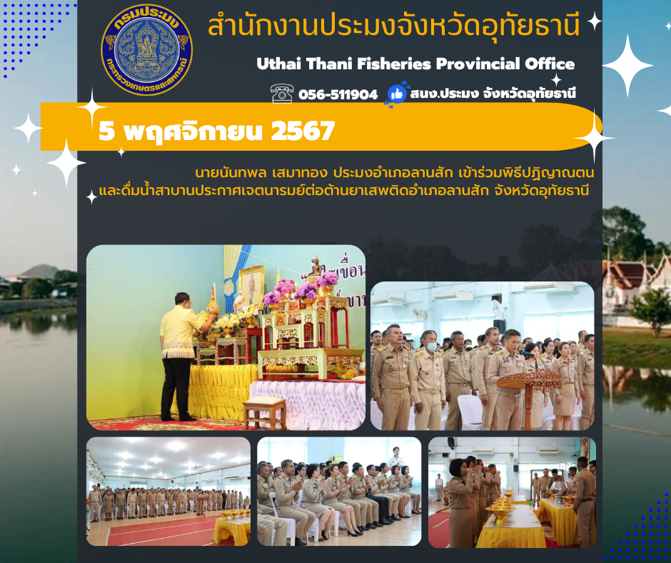 ประชาสัมพันธ์ ประจำเดือนพฤศจิกายน 2567..คลิก
