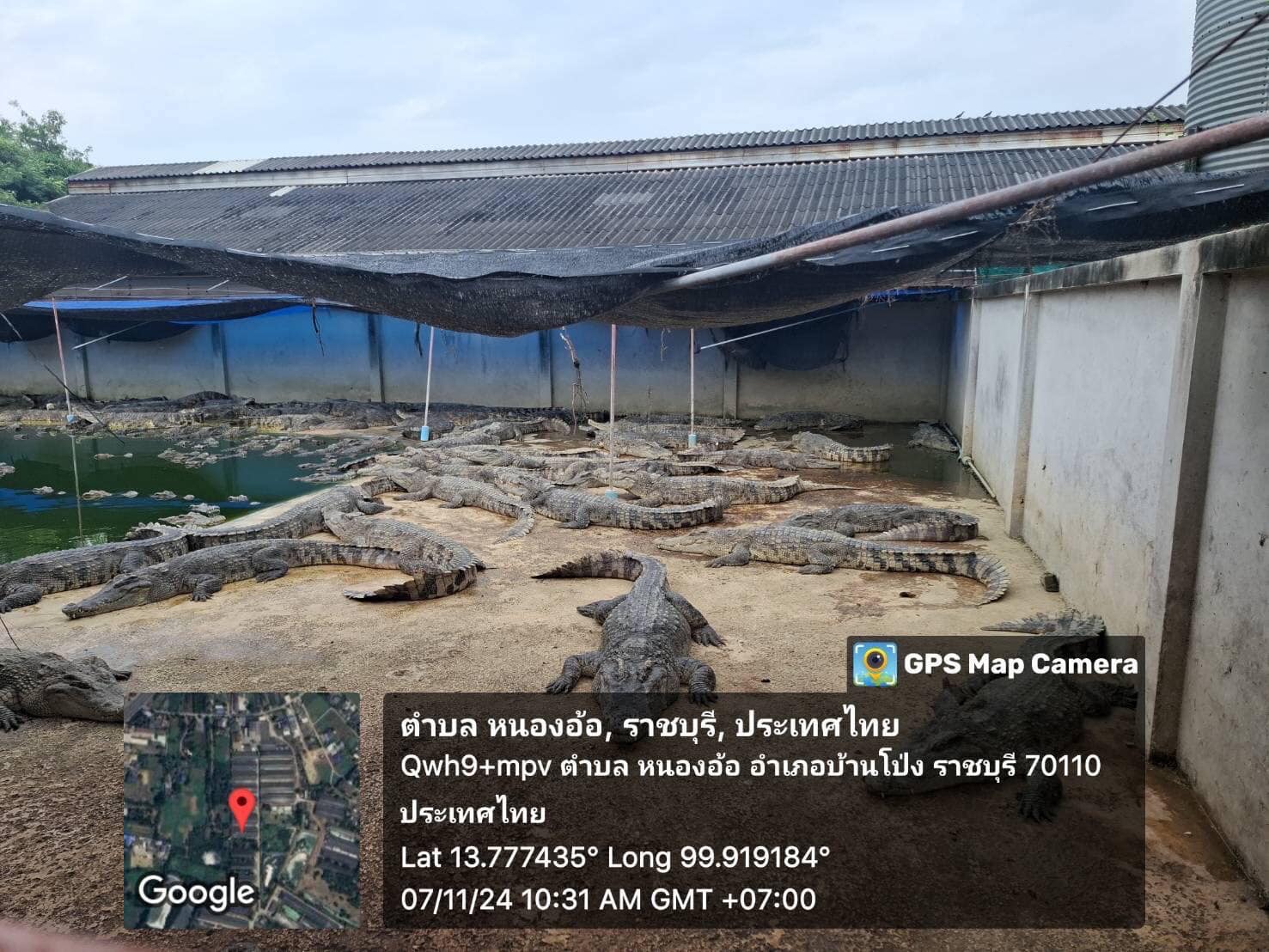 ลงพื้นที่ตรวจติดตามและประเมินฟาร์มจระเข้ ประจำปี 2567 ตามพระราชบัญญัติสงวนและคุ้มครองสัตว์ป่า พ.ศ.2562..คลิก